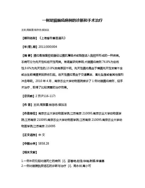 一例幼猫膈疝病例的诊断和手术治疗