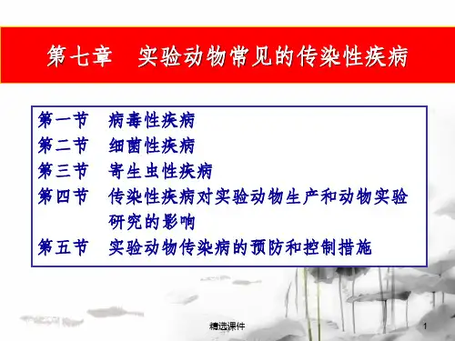 实验动物常见的传染性疾病