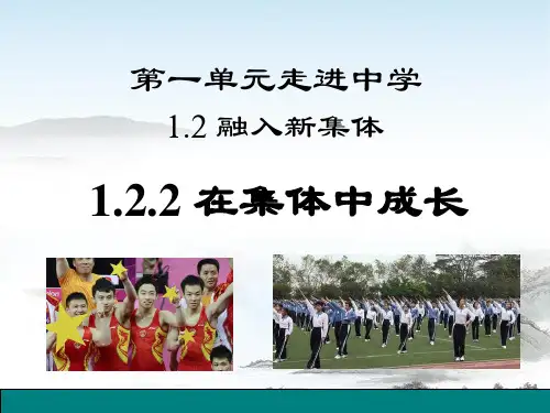 在集体中成长课件ppt  部编版课件5