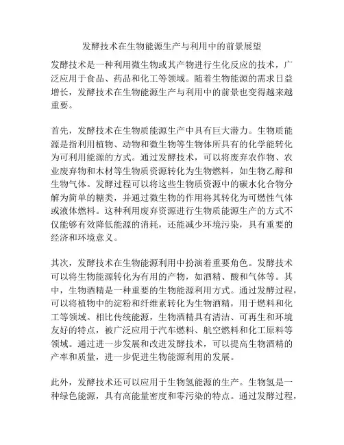 发酵技术在生物能源生产与利用中的前景展望