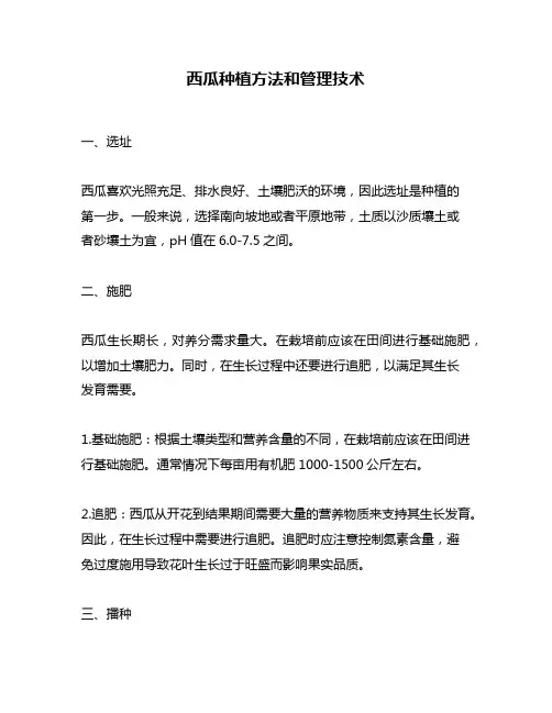 西瓜种植方法和管理技术
