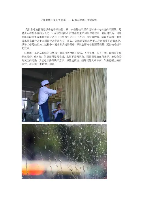 让挂面烘干变的更简单 --- 湿腾高温烘干型除湿机