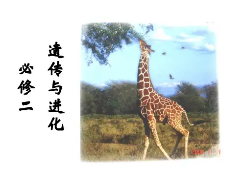 浙科版 高中生物 2019-2020 必修二第一章 第一节 分离定律(共53张PPT)