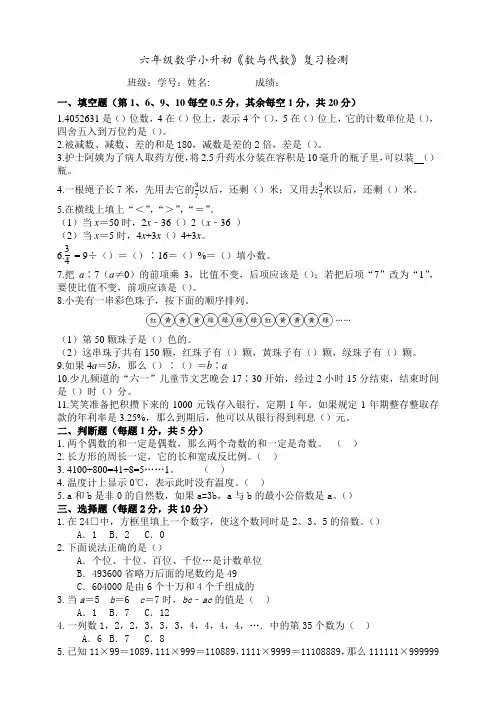 北师大版小学六年级下册数学小升初《数与代数》复习检测试题(含答案)