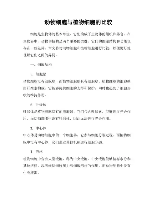 动物细胞与植物细胞的比较