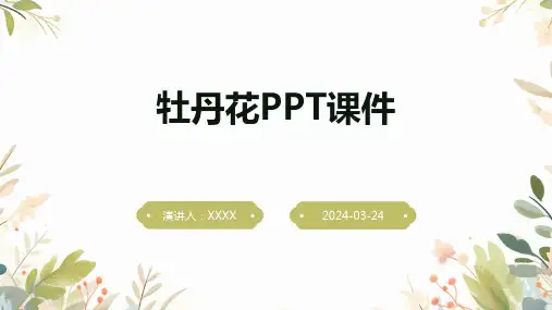 牡丹花PPT课件