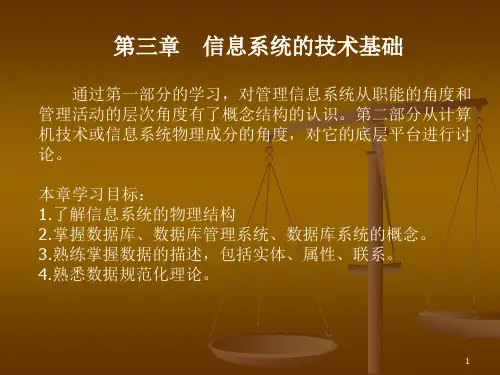 信息管理系统信息系统的技术基础