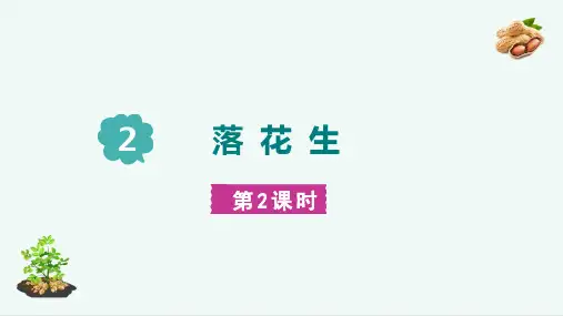 落花生   第2课时 课件(共25张PPT)