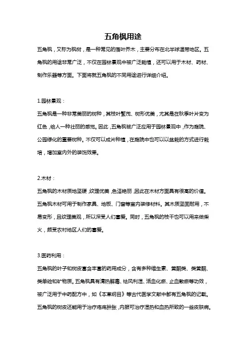 五角枫用途