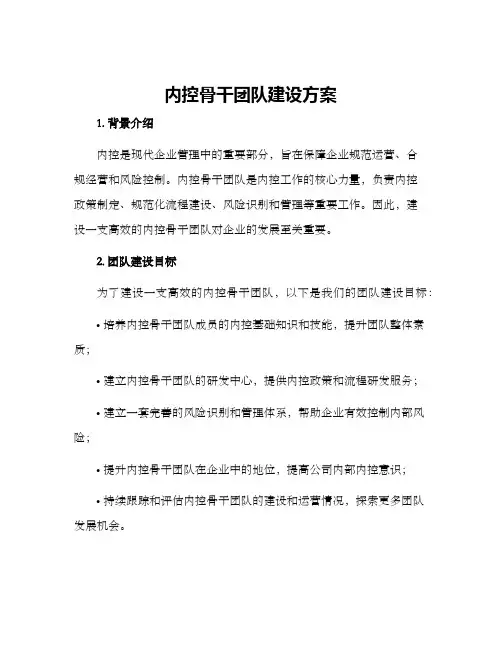 内控骨干团队建设方案