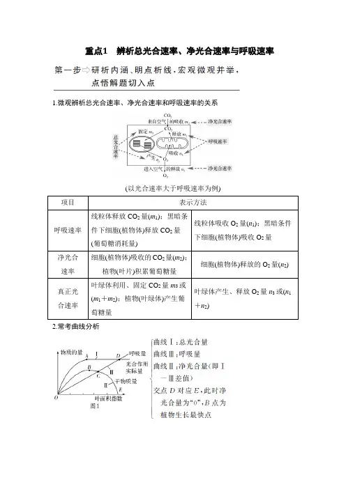 最经典总结-辨析总光合速率、净光合速率与呼吸速率