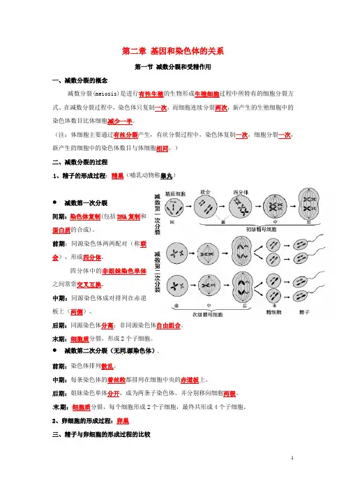 高中生物第二章《基因和染色体的关系》知识点总结新人教版必修2