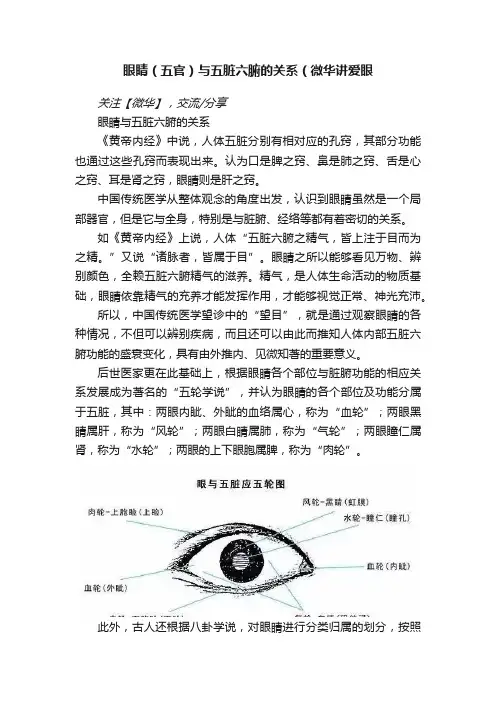 眼睛（五官）与五脏六腑的关系（微华讲爱眼