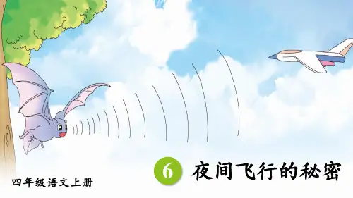 夜间飞行的秘密(部编本四年级上册)