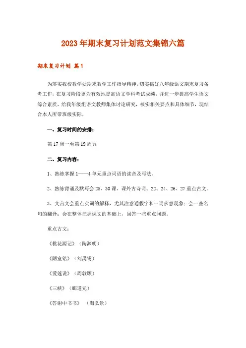 2023年实用文_期末复习计划范文集锦六篇