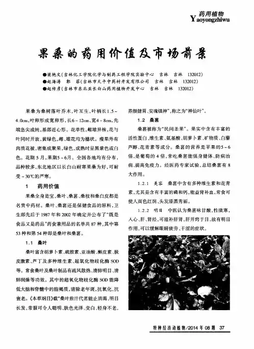 果桑的药用价值及市场前景