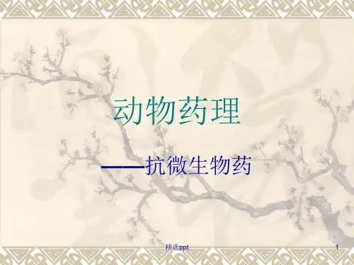 磺胺药和抗菌增效剂