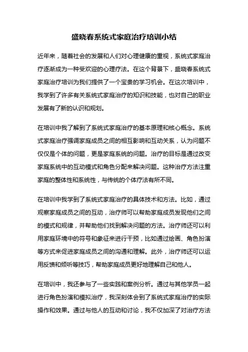 盛晓春系统式家庭治疗培训小结