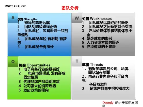 SWOT分析团队ppt课件