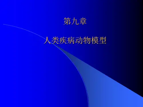 人类疾病动物模型