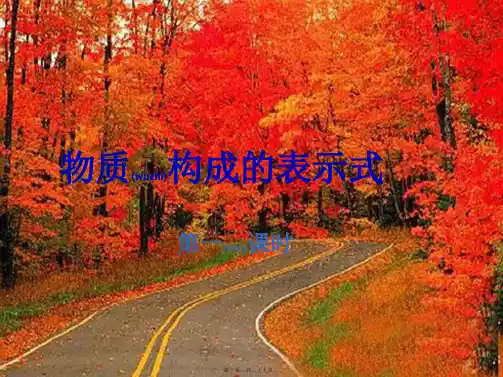 九年级化学上册《物质构成的表示式》(第一、二课时)课件 