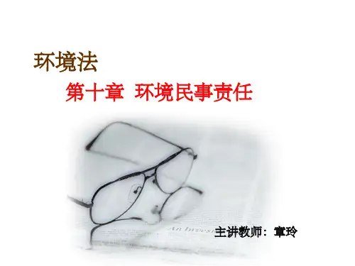 《环境民事责任》PPT课件