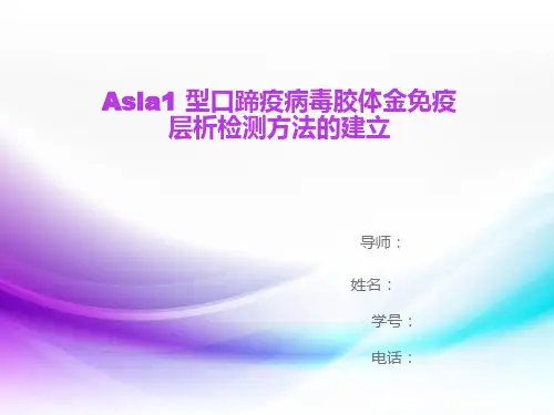 口蹄疫病毒快速检测方法的建立