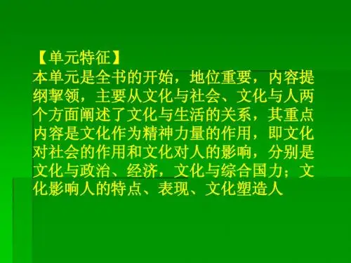 高中政治的文化生活期末复习课件新人教版必修3