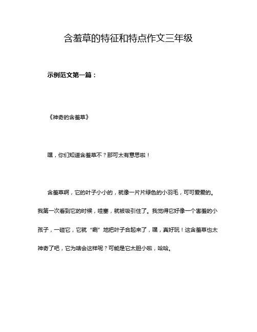 含羞草的特征和特点作文三年级