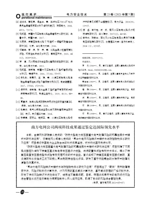 南方电网公司两项科技成果通过鉴定达国际领先水平