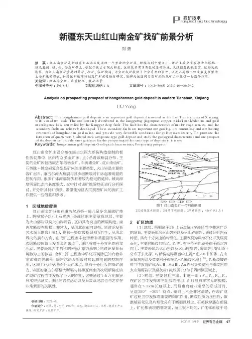 新疆东天山红山南金矿找矿前景分析