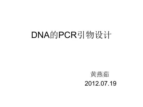 DNA的PCR引物设计