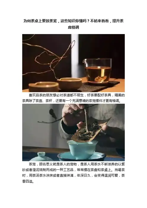 为何茶桌上要放茶宠，这些知识你懂吗？不妨来看看，提升茶席格调