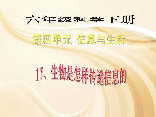 生物是怎样传递信息的  ppt课件