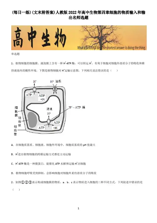 (文末附答案)人教版2022年高中生物第四章细胞的物质输入和输出名师选题