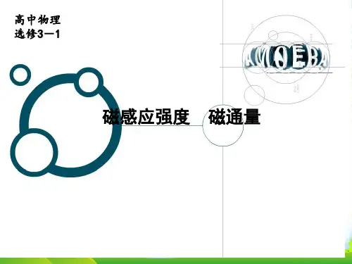 鲁科版选修31物理课件：5.3 磁感应强度 磁通量 (共17张PPT)