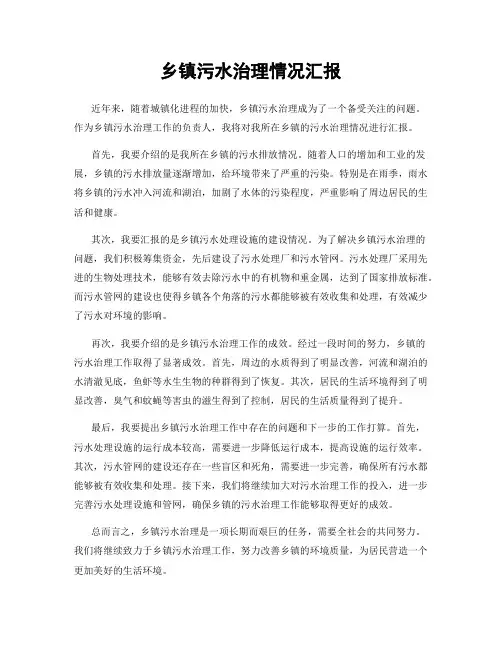 乡镇污水治理情况汇报
