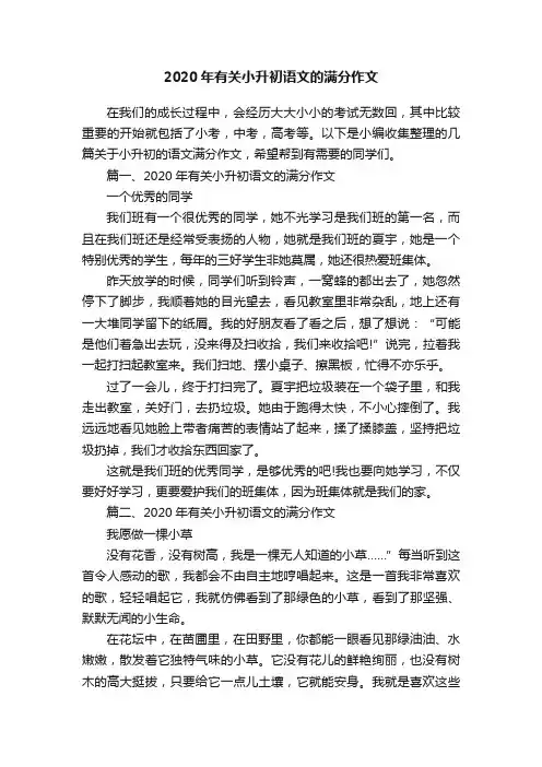 2020年有关小升初语文的满分作文