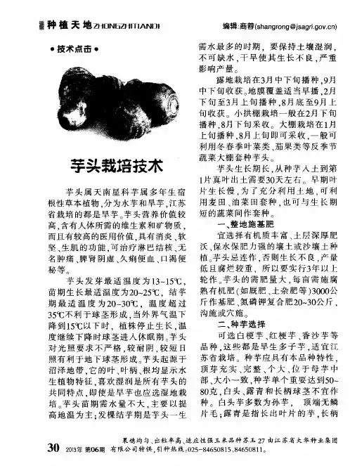 芋头栽培技木