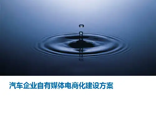汽车集团电商平台建设方案  ppt课件