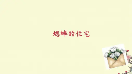 11 蟋蟀的住宅  课件(24张PPT)