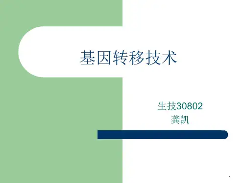 基因转移技术