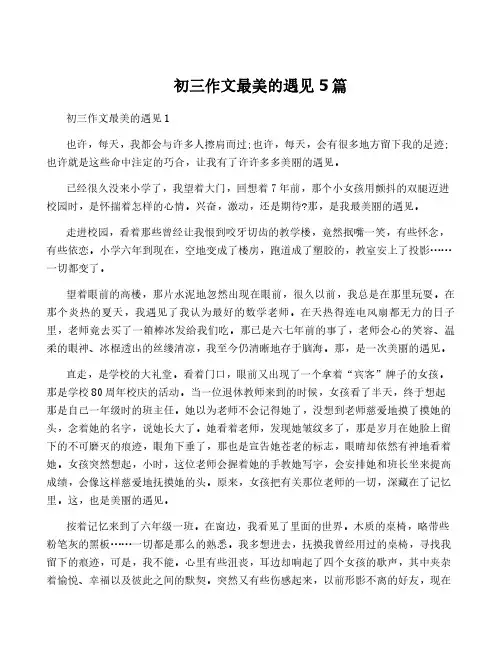 初三作文最美的遇见5篇