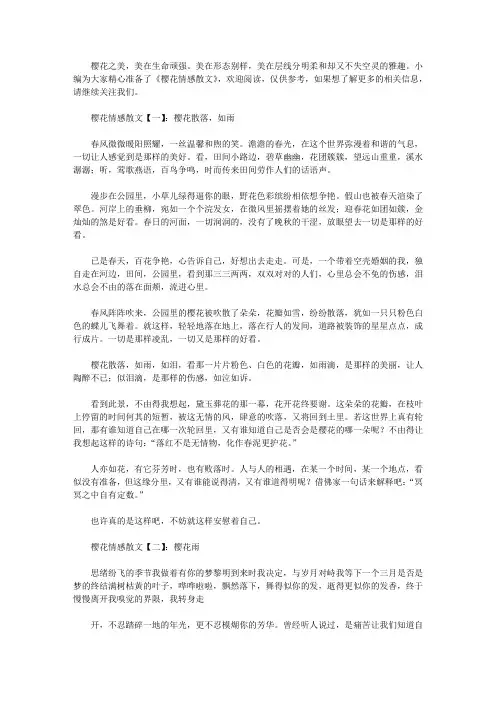 樱花情感散文