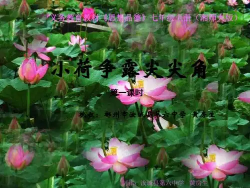 湘师大版道德与法治七年级上册4.2.1《小荷争露尖尖角》ppt课件4