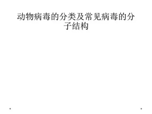 动物病毒的分类及常见病毒的分子结构