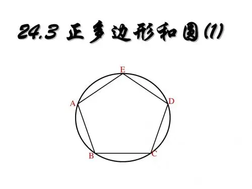 正多边形和圆(2)
