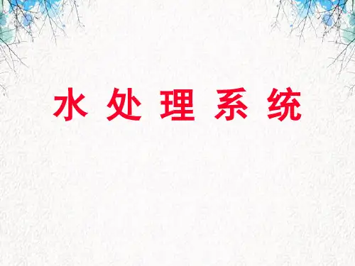 水 处 理 系 统.ppt