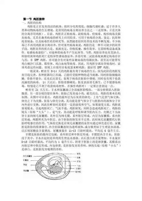 鸡胚培养和细胞培养