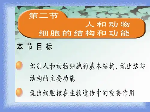 2023秋七上第二节《人和动物细胞的结构和功能》ppt